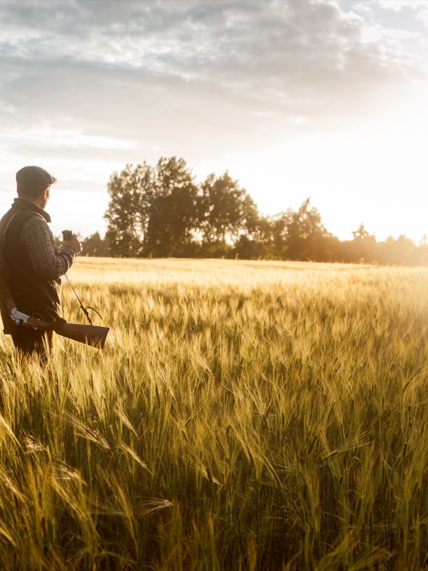 Geschirr mieten bei Baumhauers Partyservice
